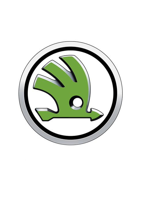 Аксесуари для Skoda